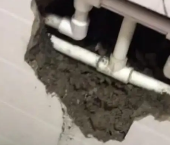 双柏漏水检测电话