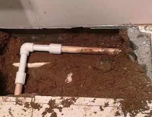 双柏测漏水哪家好