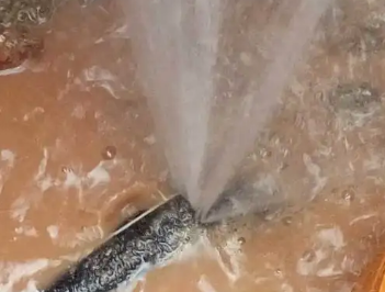 双柏水管漏水检测哪家好