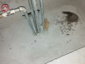 双柏卫生间测漏水价格明细