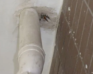 双柏漏水检测哪家好